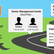 Representation of PWD in management positions in KZN: Dropped from 2014 to 2015. Senior Management level dropped for males: 1.4% to 0.9% and females: 0.5% to 0.3%. Department of Labour directive: Employers should review any selection criteria that excludes PWD to ensure that they are not unfairly discriminated against. Why should you be concerned? These criteria willb e noted during reviews of all employment equity reports, along with an account of any concrete steps taken towards integrating PWD.