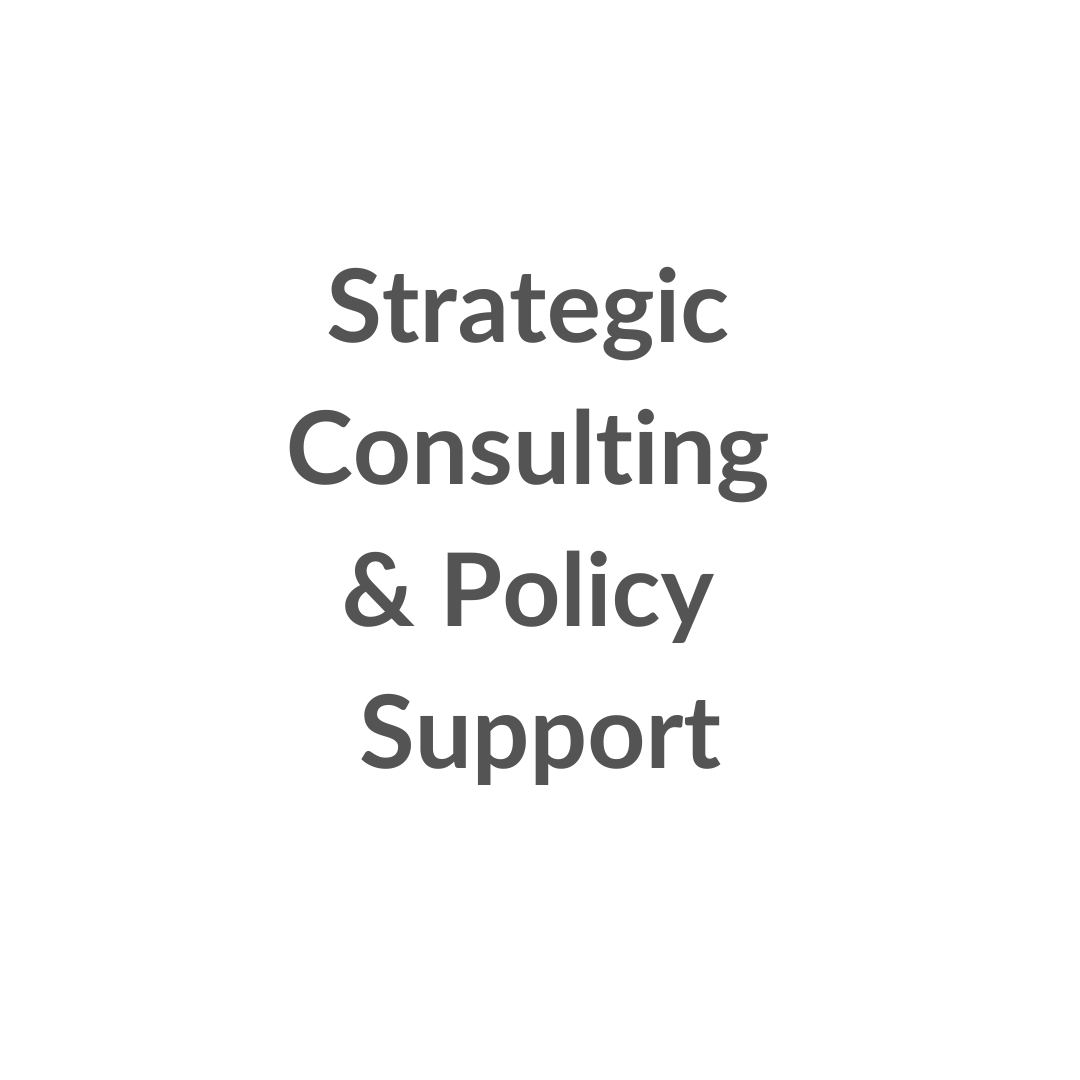 Strategic Consulting and Policy Support