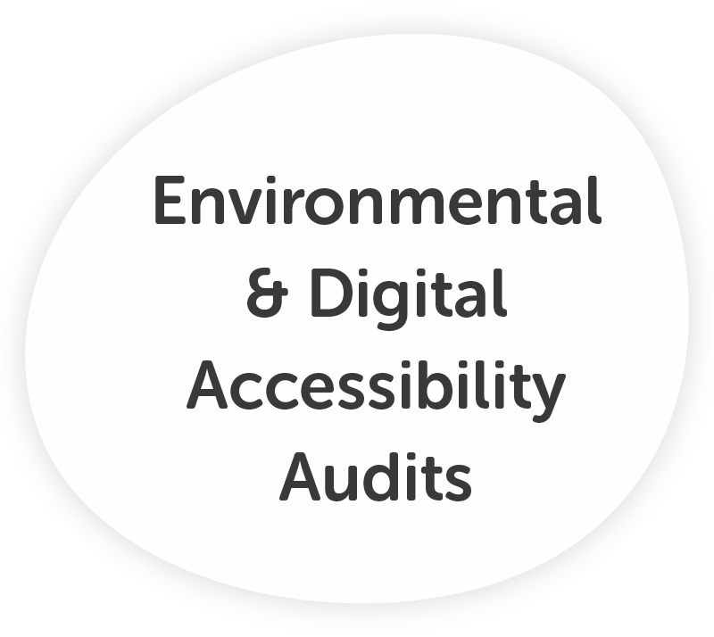 Environmental & Digital Accessibility Audits | Bradshaw LeRoux